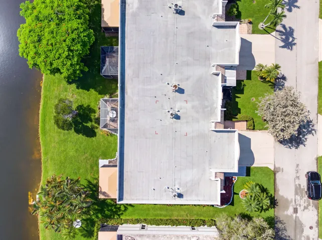 Ariel View