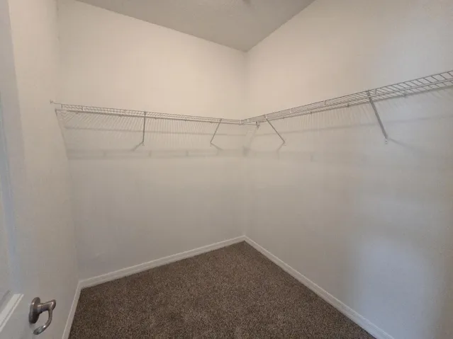 Master Closet