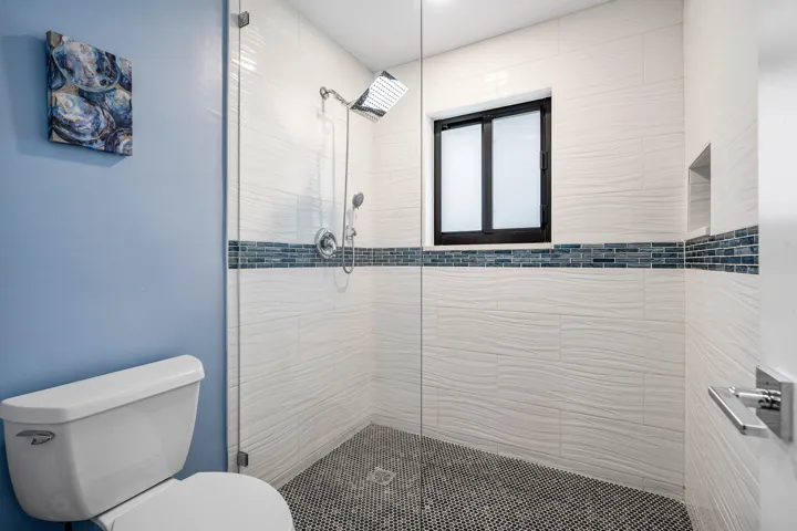 Primary Shower