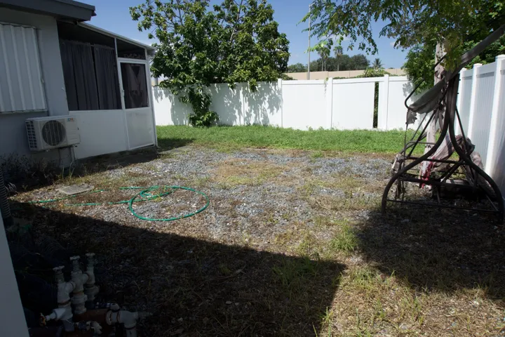 Back Yard