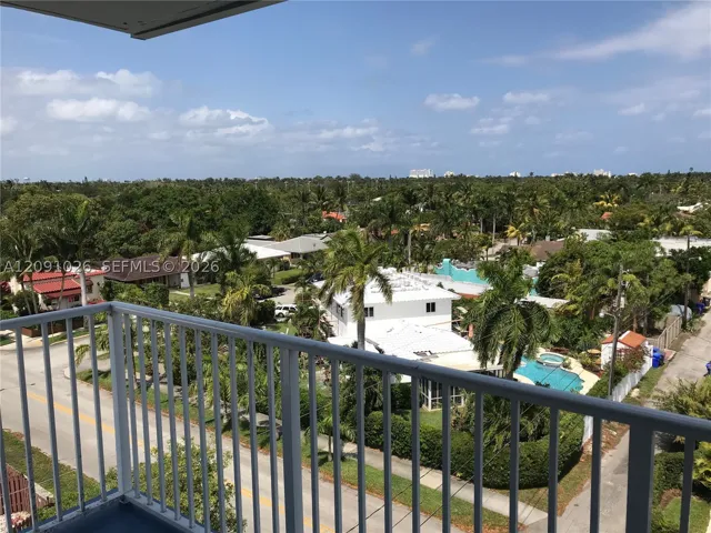 Your view