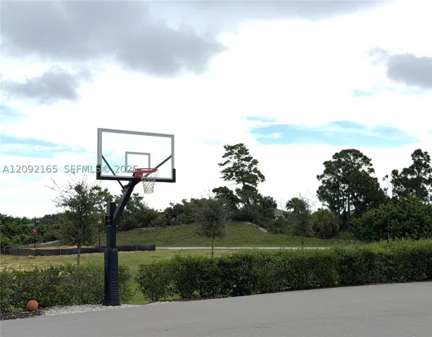 Play it! Basketball!