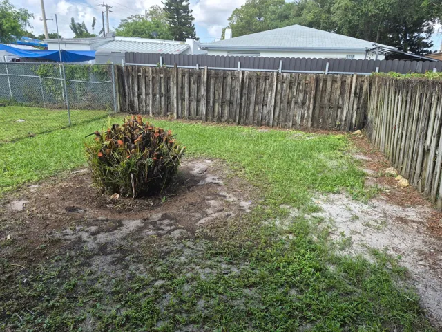 Backyard