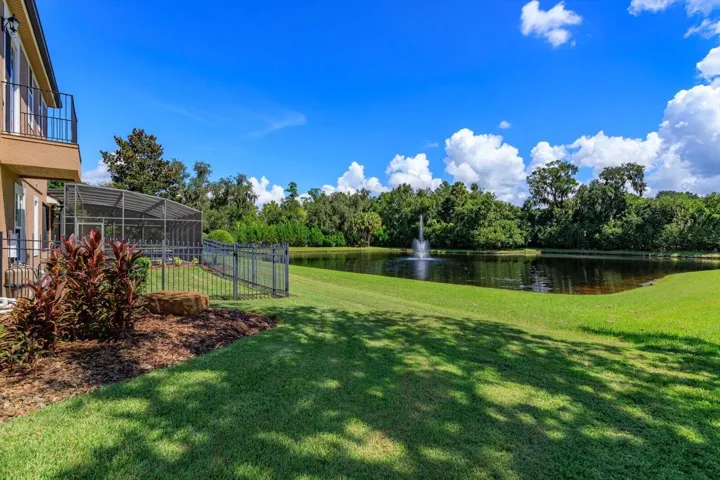 50-Back Yard (3)