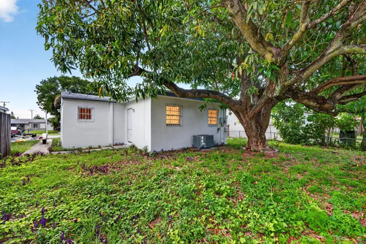 28-web-or-mls-699A5417