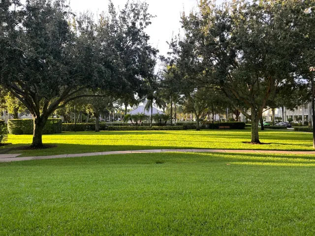 Green Space