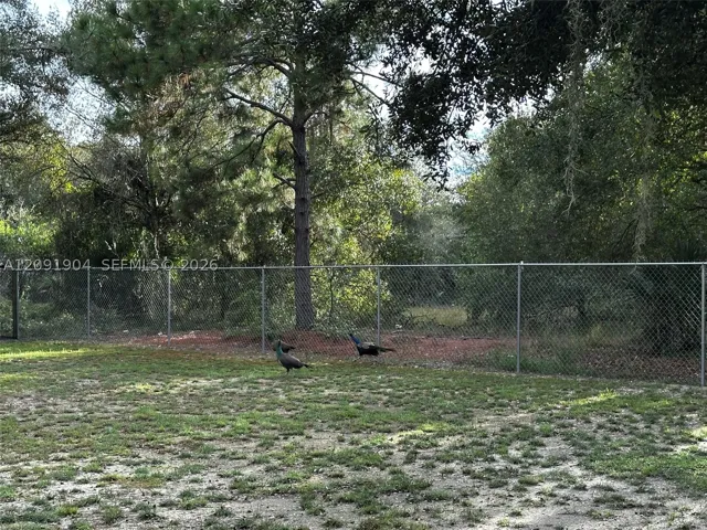 Yard