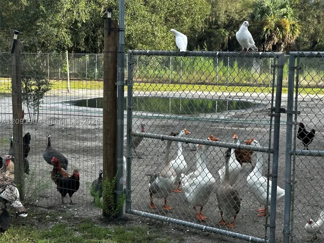 Fence