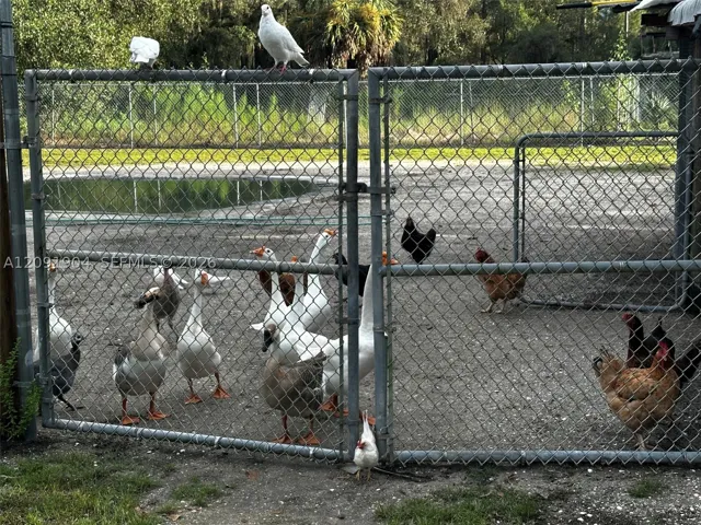 Fence