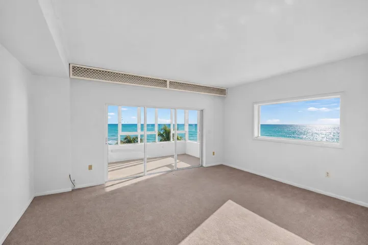 NEW CARPET SUMMER 2026