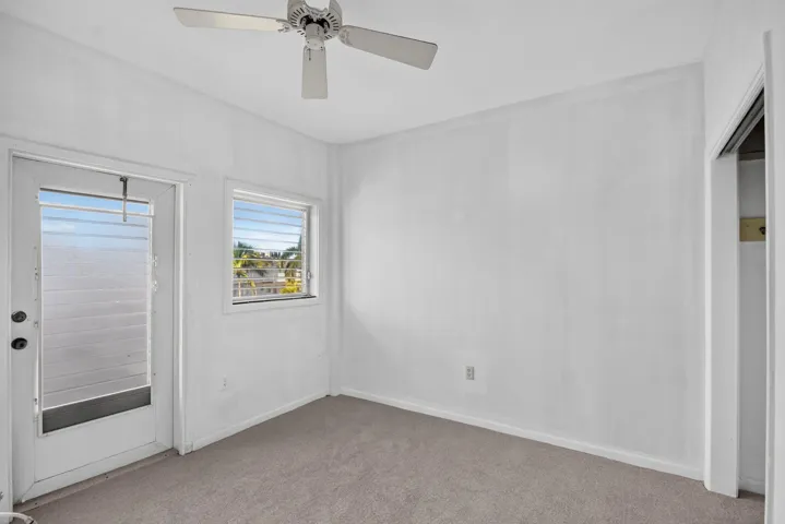 NEW CARPET SUMMER 2026