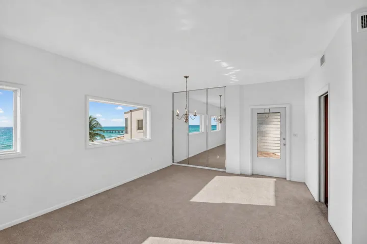 NEW CARPET SUMMER 2026