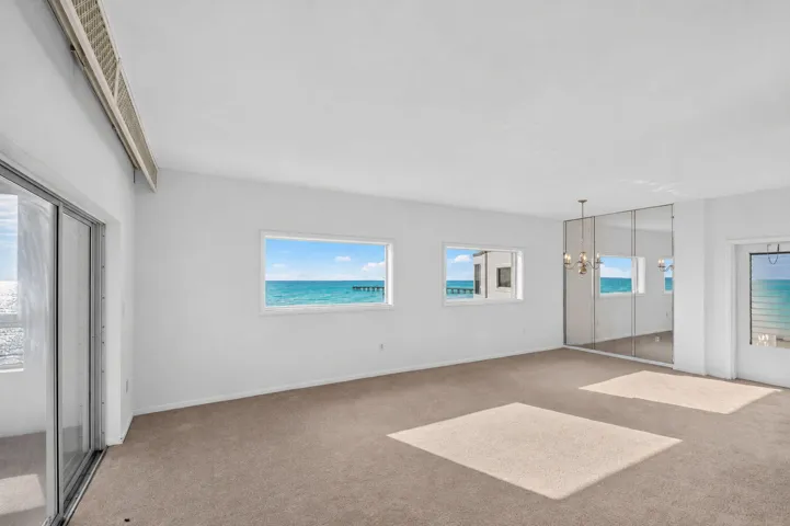 NEW CARPET SUMMER 2026