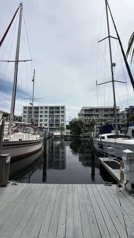 Boat Slip # 308-1