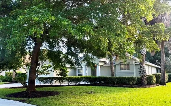 Front Fernleaf