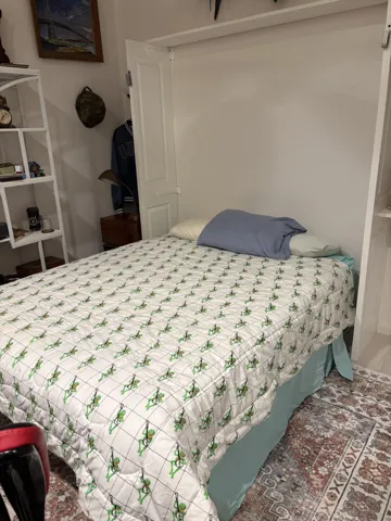 Murphy Bed Opened