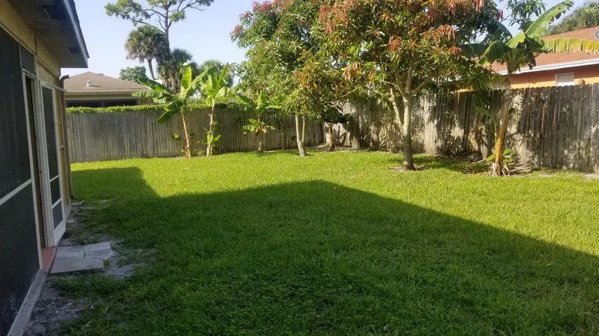 Backyard