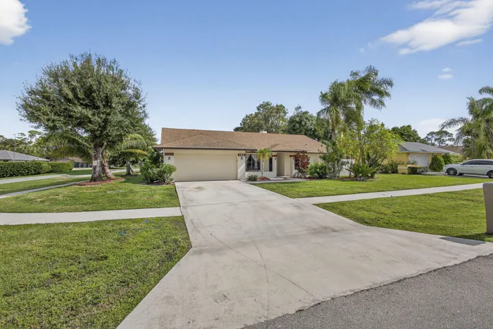 3-web-or-mls-BS1A4746