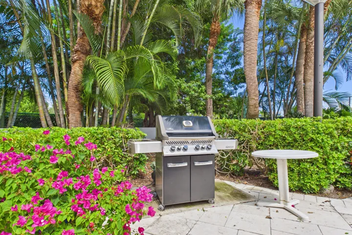 BBQ Grill area