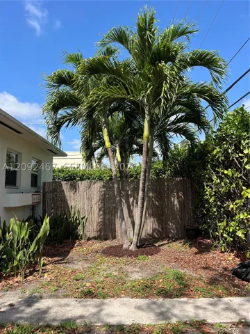 Yard