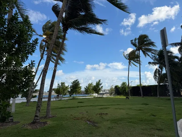 Yard