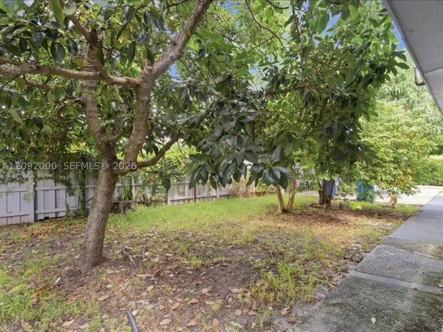 Yard