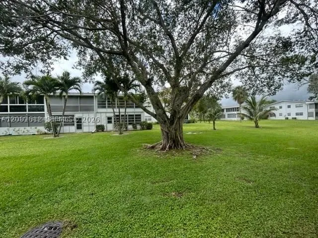 Yard