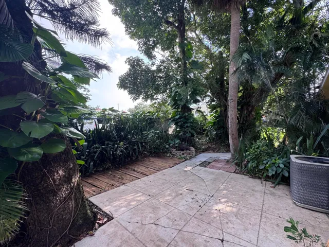 Back yard patio