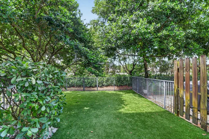 Backyard 1