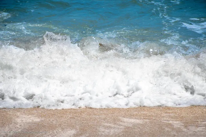 OCEAN