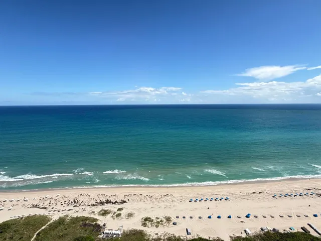View from Unit