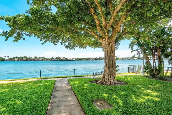 yacht club TREE and Metal BENCH