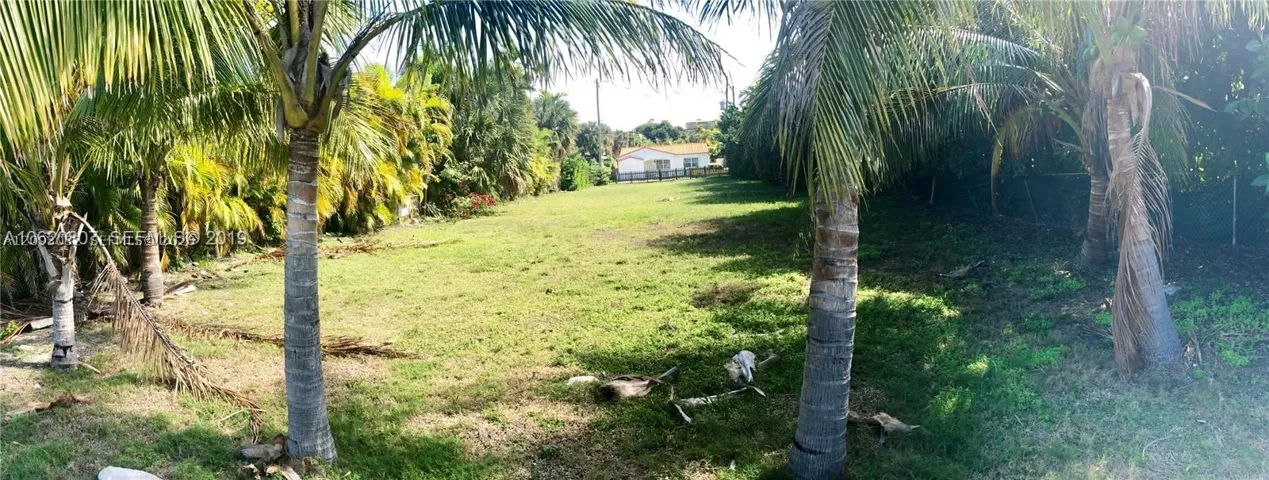 Yard