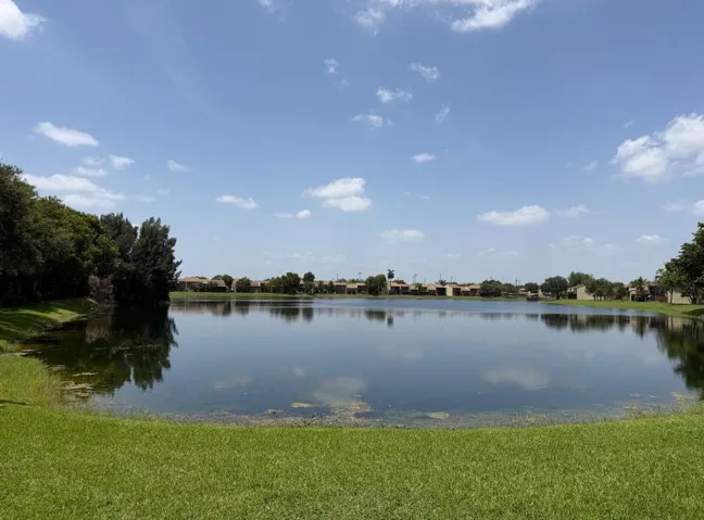 Lake view