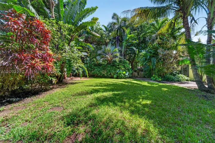 Yard