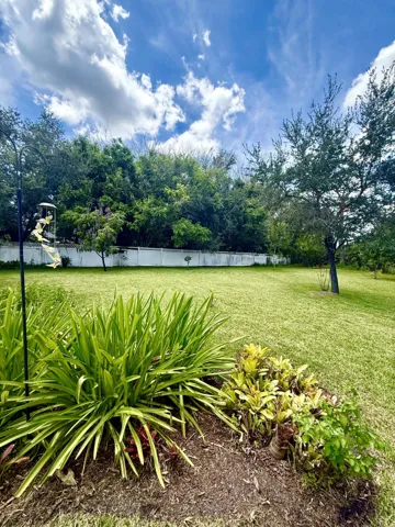 backyard v