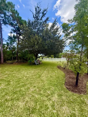 backyard 4 v