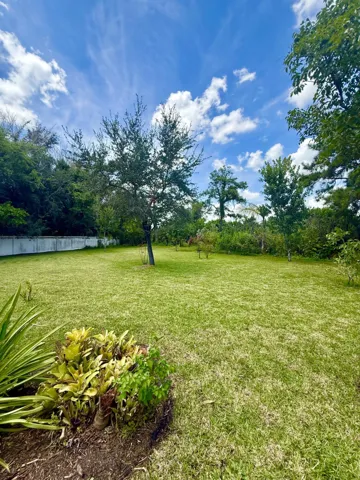 backyard v 5