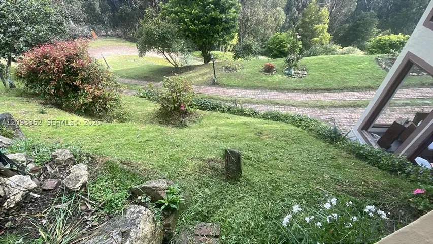 Yard