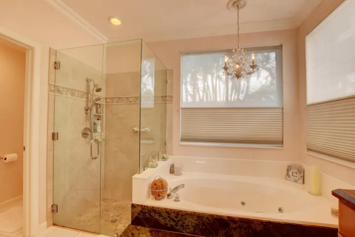 Master bath jacuzzi and frameless shower