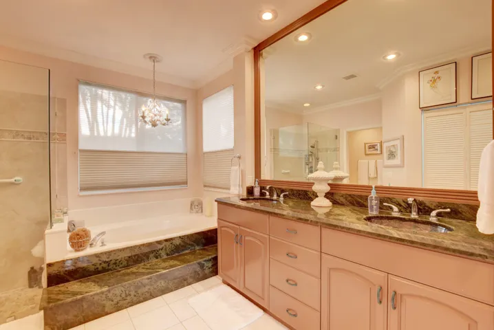 Master bath jacuzzi tub