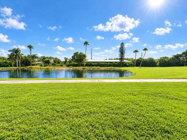Backyard view