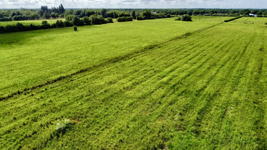 dji_fly_20260831_102516_875_178818664105