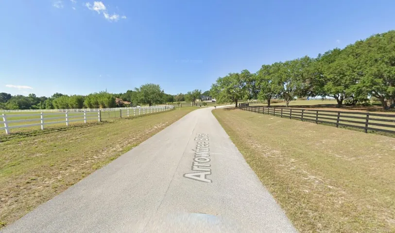 arrowtree1