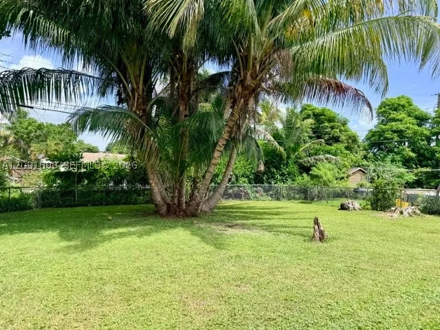 Yard