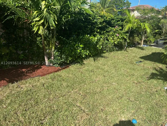 Yard