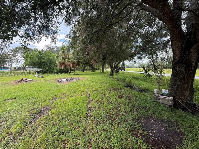 Yard