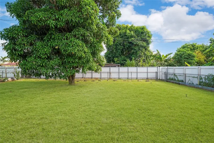 Yard