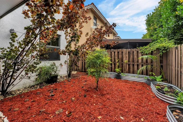 Yard