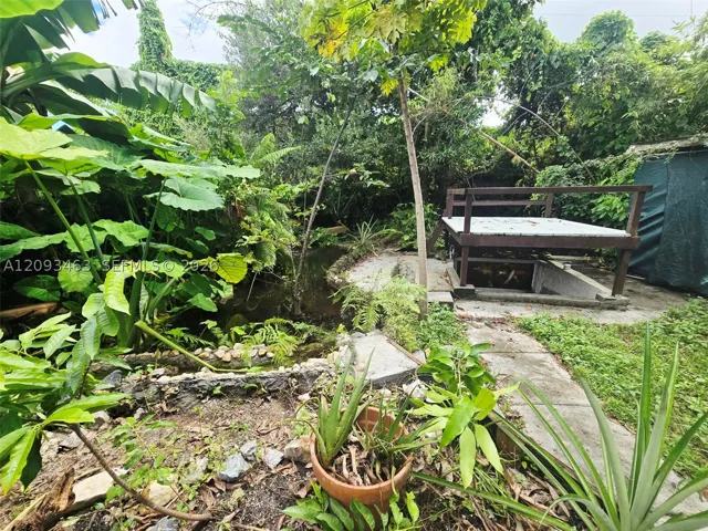 Yard